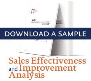 Download a sample of our “Sales Effectiveness and Improvement Analysis.”